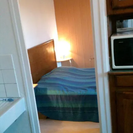 アパート Appartement D'Une Chambre A La Bourboule Avec Magnifique Vue Sur La Montagne Jardin Clos Et Wifi A 12 Km Des Pistes *